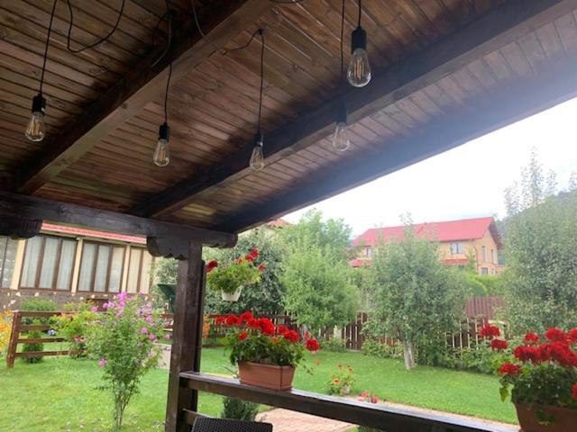 Vila Rolizo Brašov Exteriér fotografie